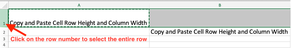 How to Copy and Paste Cell Data Including Row Height and Column Width in Excel 4.png