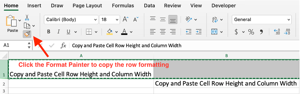 How to Copy and Paste Cell Data Including Row Height and Column Width in Excel 5.png